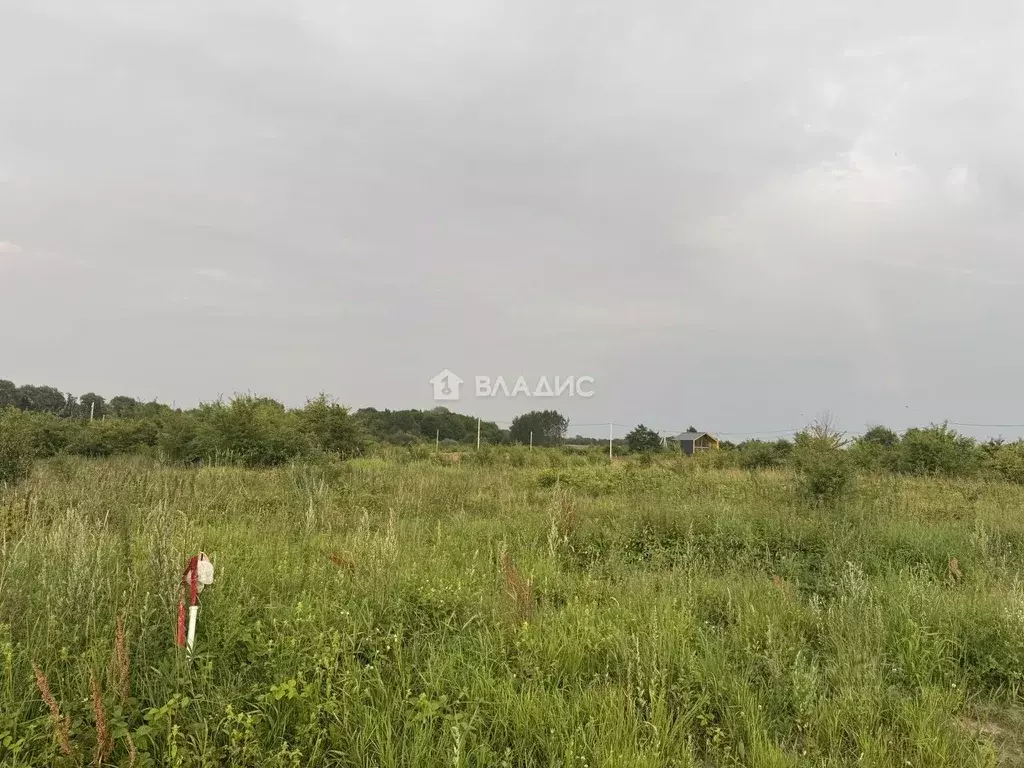 Участок в Калининградская область, Зеленоградский муниципальный округ, ... - Фото 2