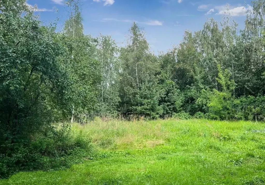 Участок в Московская область, Одинцовский городской округ, д. Раздоры ... - Фото 1