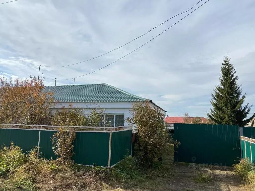 Дом в Челябинская область, с. Уйское ул. Крылова, 25 (88 м) - Фото 1