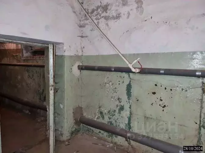 Помещение свободного назначения в Нижегородская область, Нижний ... - Фото 2