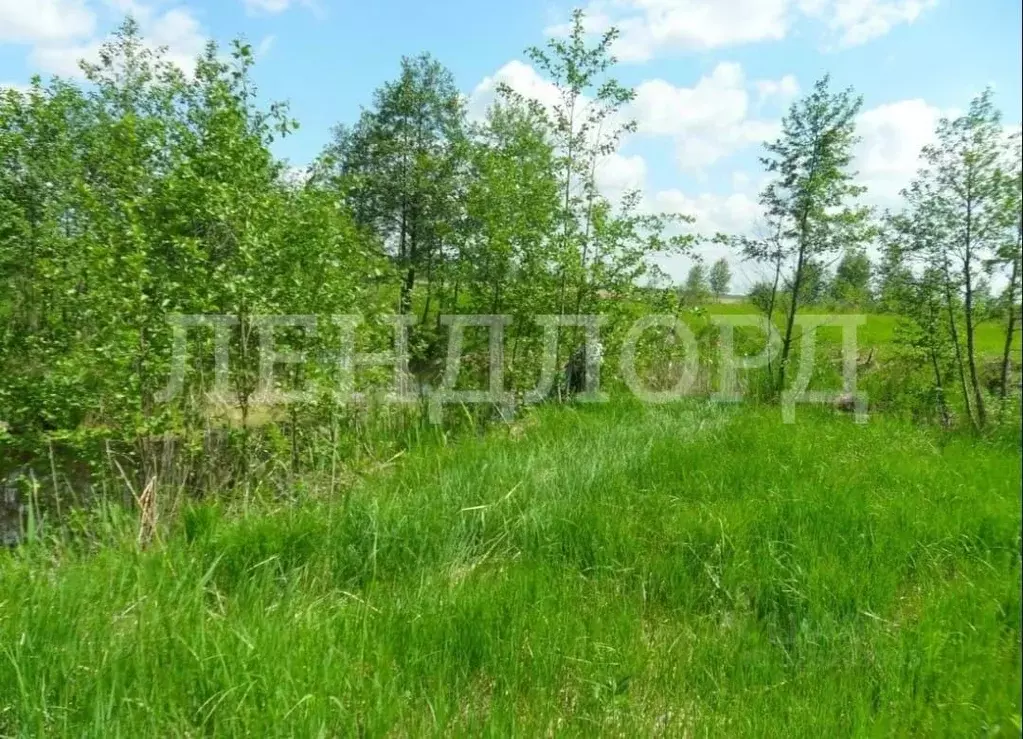 Участок в Ростовская область, Усть-Донецкий район, Апаринское с/пос, ... - Фото 2