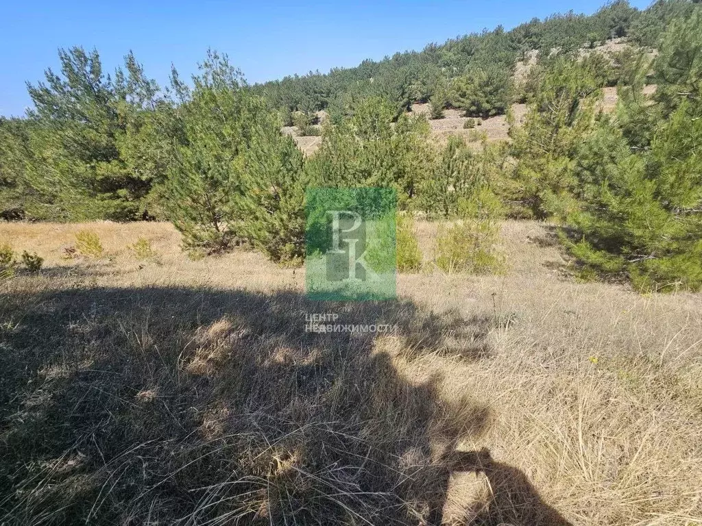 Участок в Севастополь  (8.0 сот.) - Фото 1