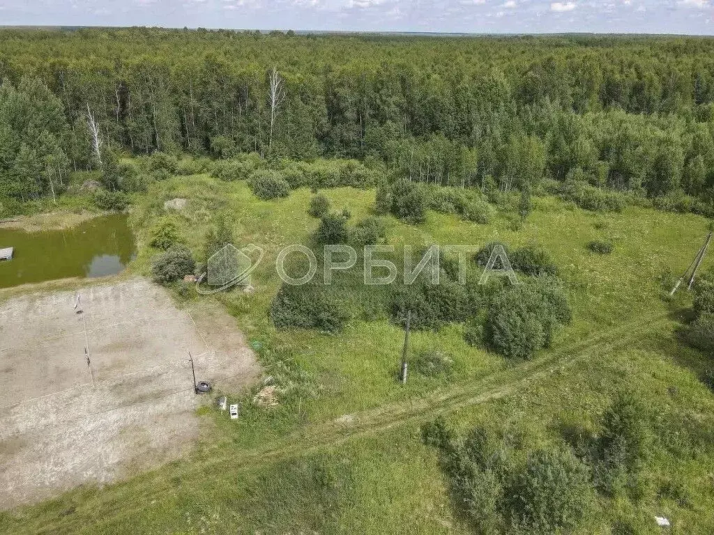 Участок в Тюменская область, Нижнетавдинский район, Сундукуль СНТ  ... - Фото 0