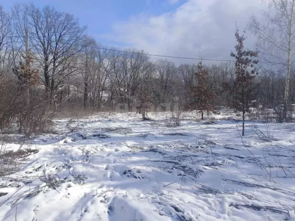Участок в Брянская область, Брянск Родничок СНТ,  (6.3 сот.) - Фото 1