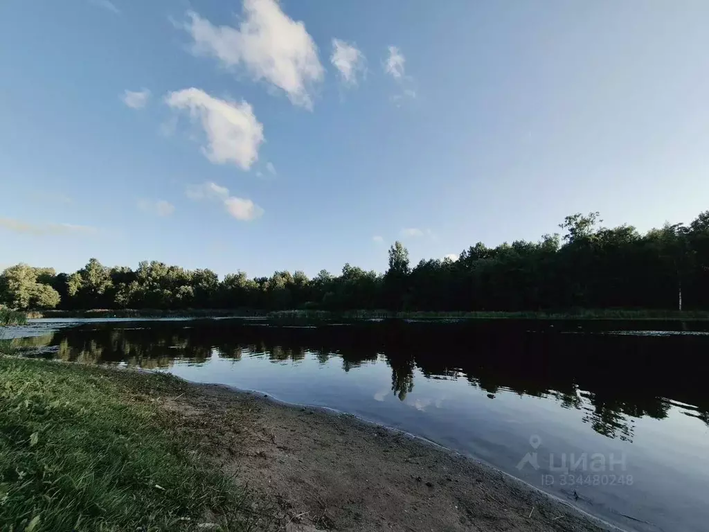 Участок в Ленинградская область, Гатчина Буревестник СНТ,  (6.0 сот.) - Фото 1