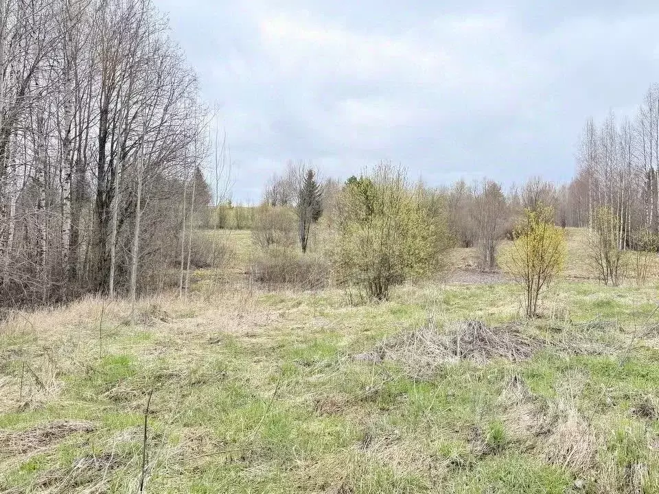 Участок в Вологодская область, Кирилловский муниципальный округ, д. ... - Фото 2