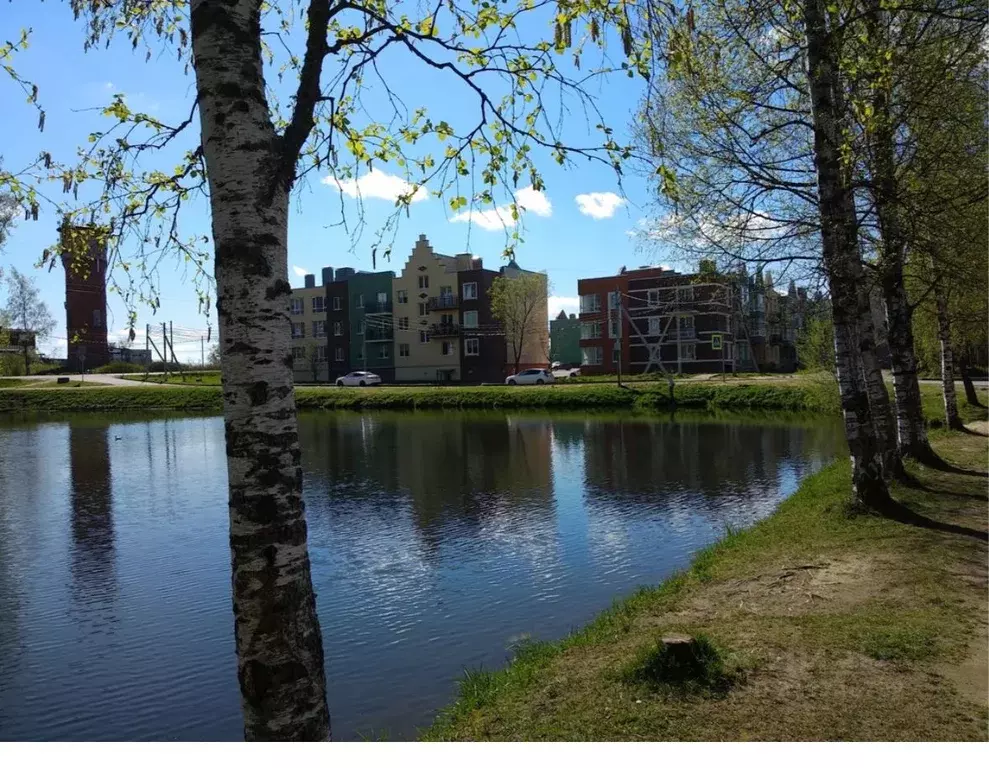 Студия Ленинградская область, Ломоносовский район, д. Низино ул. ... - Фото 1