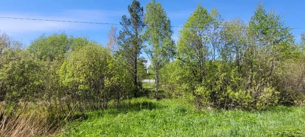 Участок в Новосибирская область, Новосибирский район, Барышевский ... - Фото 0