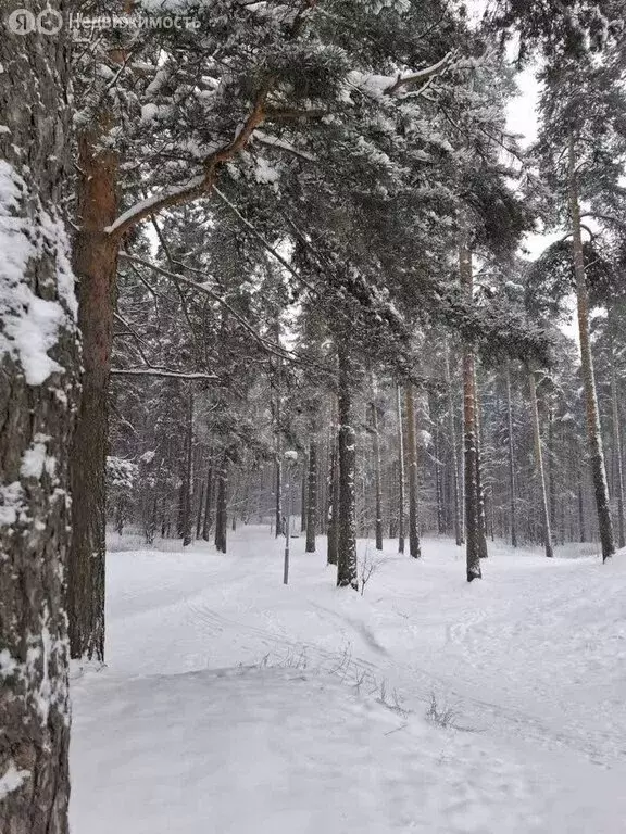 1-комнатная квартира: Ярославль, Красноборская улица, 19 (44.5 м) - Фото 1