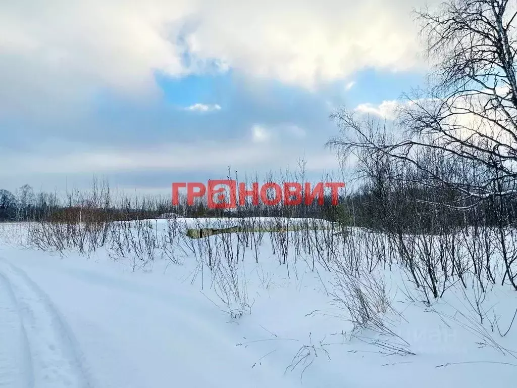 Участок в Новосибирская область, Новосибирский район, Плотниковский ... - Фото 1