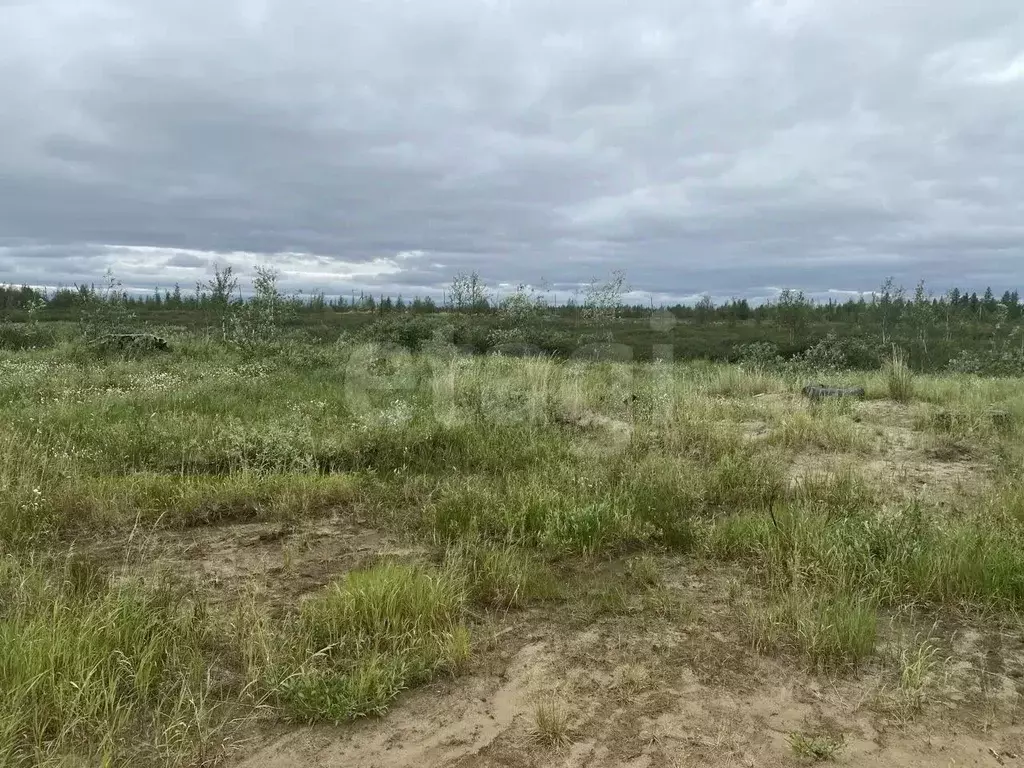 Участок в Ямало-Ненецкий АО, Новый Уренгой Уралец мкр, МК-126 кв-л,  ... - Фото 1