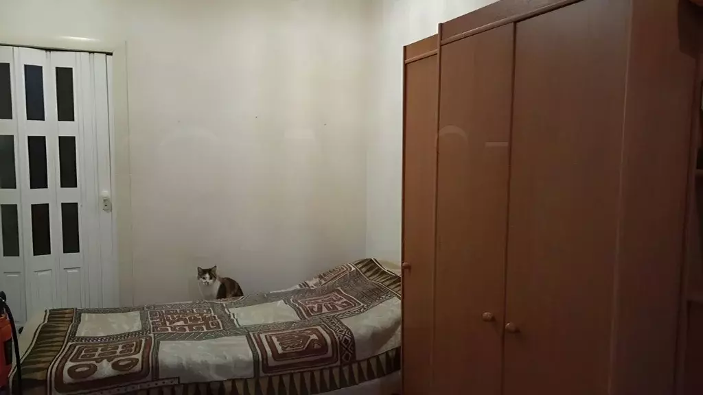 2-к кв. Ленинградская область, Приозерский район, Ромашкинское с/пос, ... - Фото 2