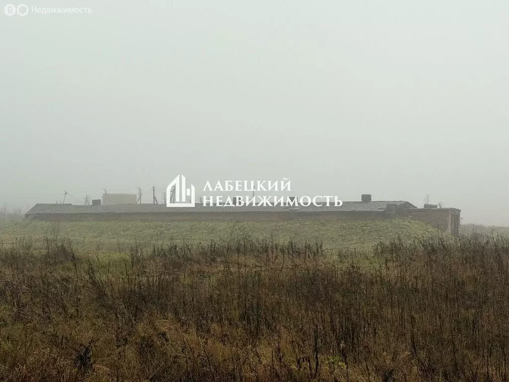 Помещение свободного назначения (804.8 м) - Фото 1