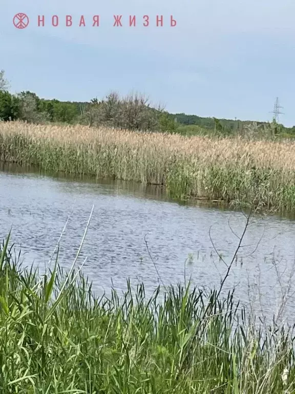 Участок в Самарская область, Кинель Радуга кп, проезд Конный (5.0 ... - Фото 2