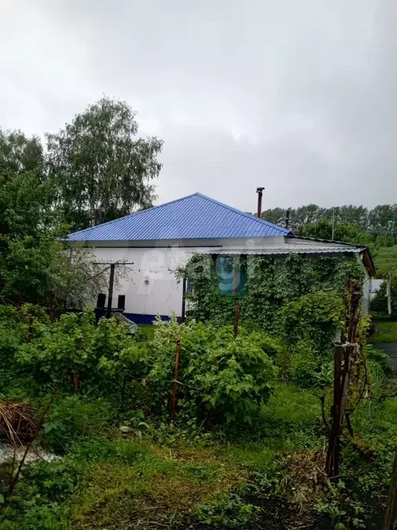 Дом 55,4 м на участке 15 сот. - Фото 1
