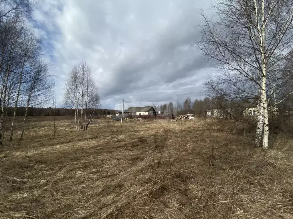 Участок в Костромская область, Костромской район, Чернопенское с/пос, ... - Фото 1