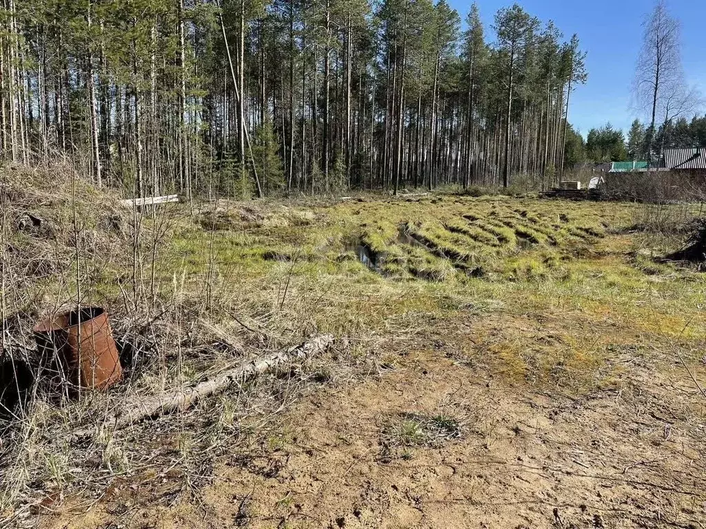 Участок в Коми, Сыктывкар городской округ, Верхняя Максаковка пгт 4-я ... - Фото 1