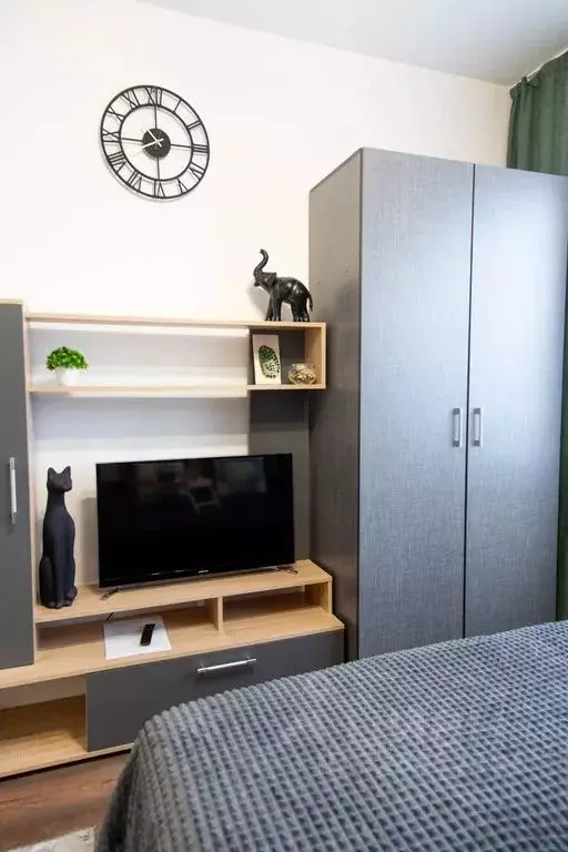1-к кв. Санкт-Петербург ул. Пейзажная, 30 (21.0 м) - Фото 2