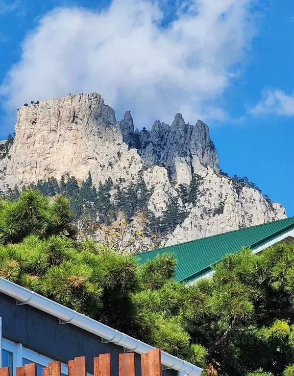 Участок в Крым, Алупка ш. Севастопольское, 65 (8.7 сот.) - Фото 2