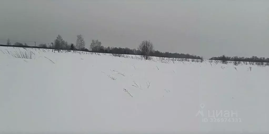 Участок в Московская область, Дмитровский муниципальный округ, д. ... - Фото 0