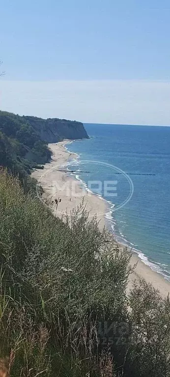 1-к кв. Калининградская область, Светлогорский городской округ, пос. ... - Фото 1