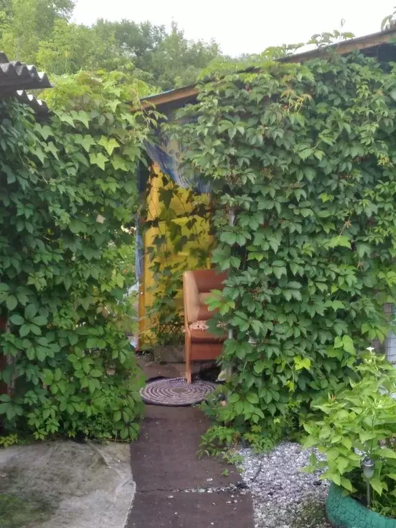 Дом, 33 м - Фото 2