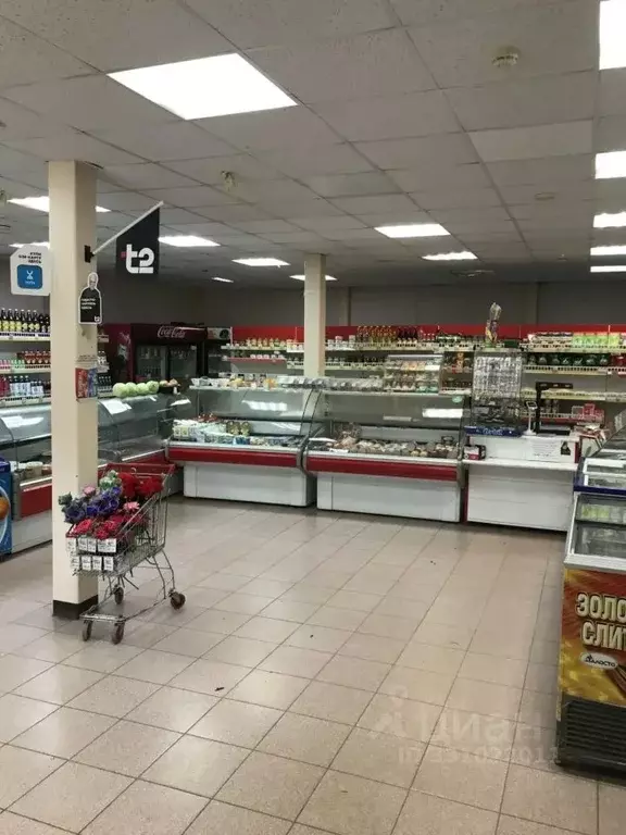 Помещение свободного назначения в Псковская область, Порхов ул. ... - Фото 1