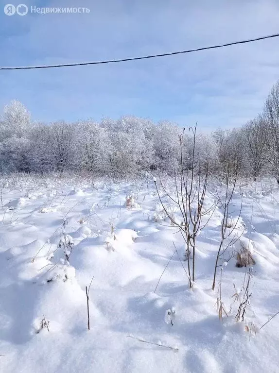 Участок в Шумское сельское поселение (28.6 м) - Фото 1