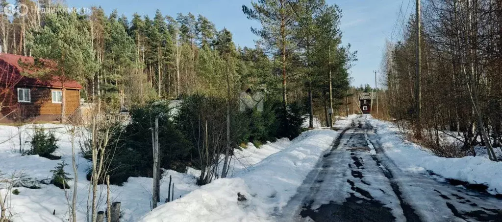 Участок в Приозерский район, Ларионовское сельское поселение, посёлок ... - Фото 2