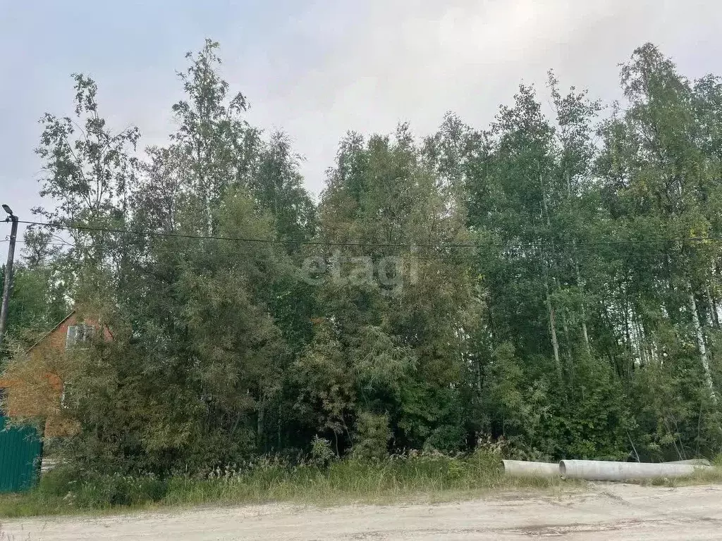 Участок в Ямало-Ненецкий АО, Надым Сады Ямала ДНТ,  (10.0 сот.) - Фото 0