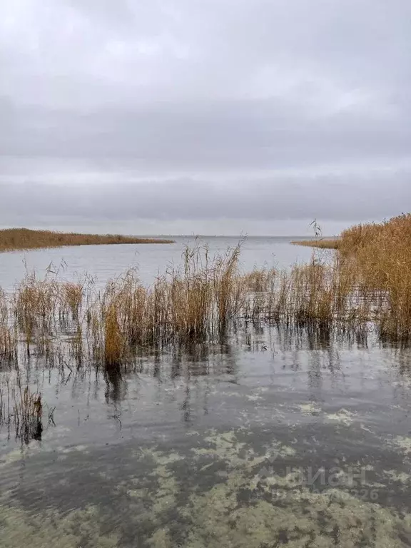 Участок в Волгоградская область, Волгоград ул. Ясногорская (4.3 сот.) - Фото 1