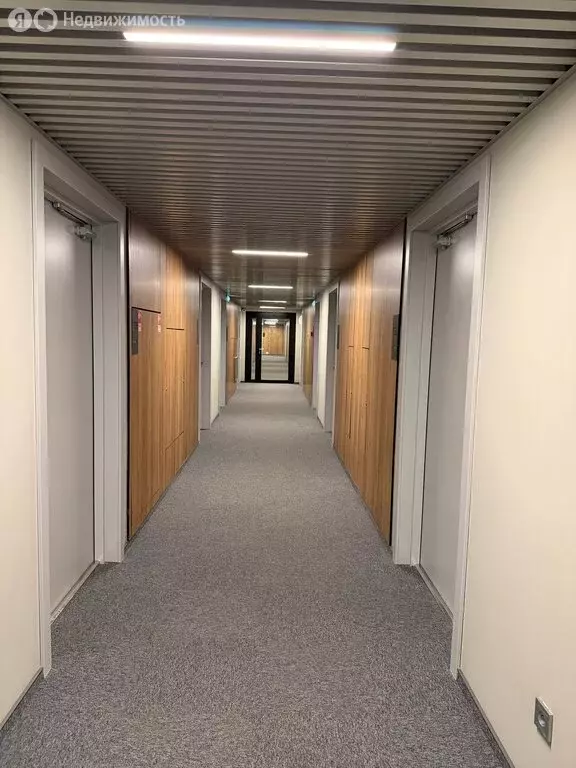 Квартира-студия: Санкт-Петербург, Киевская улица, 5к6 (27.8 м) - Фото 1