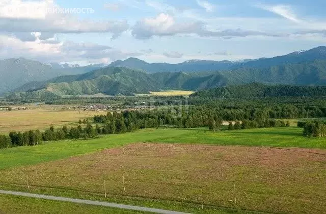 Участок в Усть-Коксинский район, село Усть-Кокса (330 м) - Фото 0