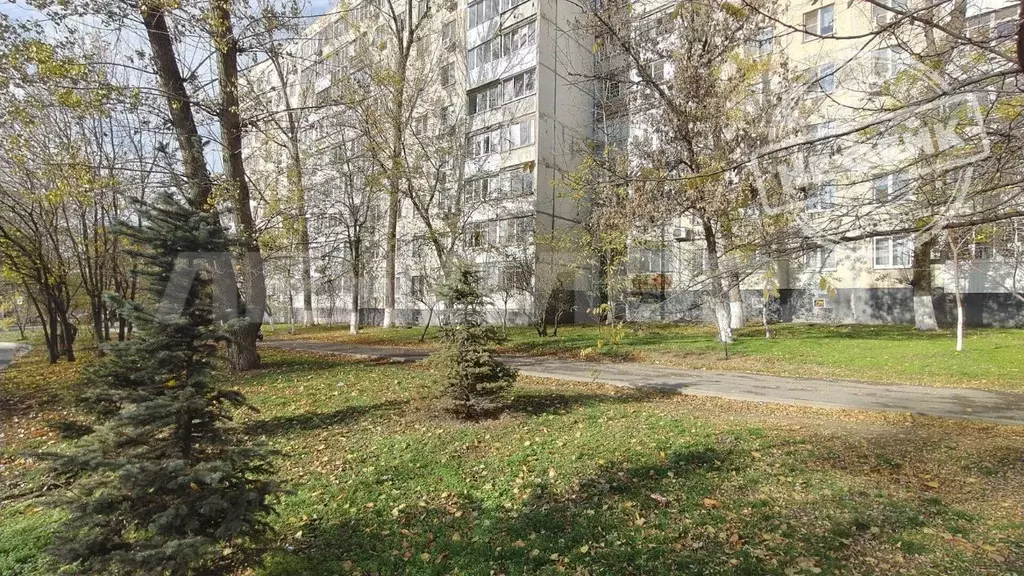 3-к кв. Ростовская область, Ростов-на-Дону Северный мкр, ул. Борко, 1 ... - Фото 1