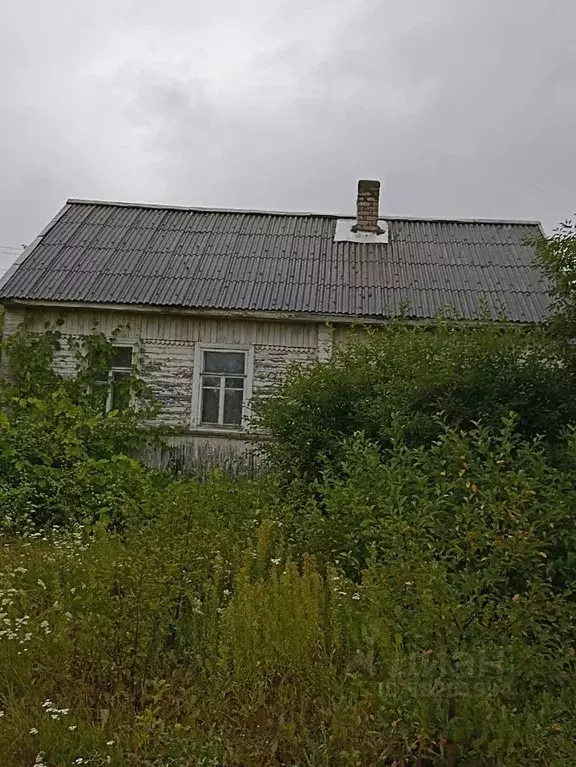 Купить Дом Дачу В Псковском Районе