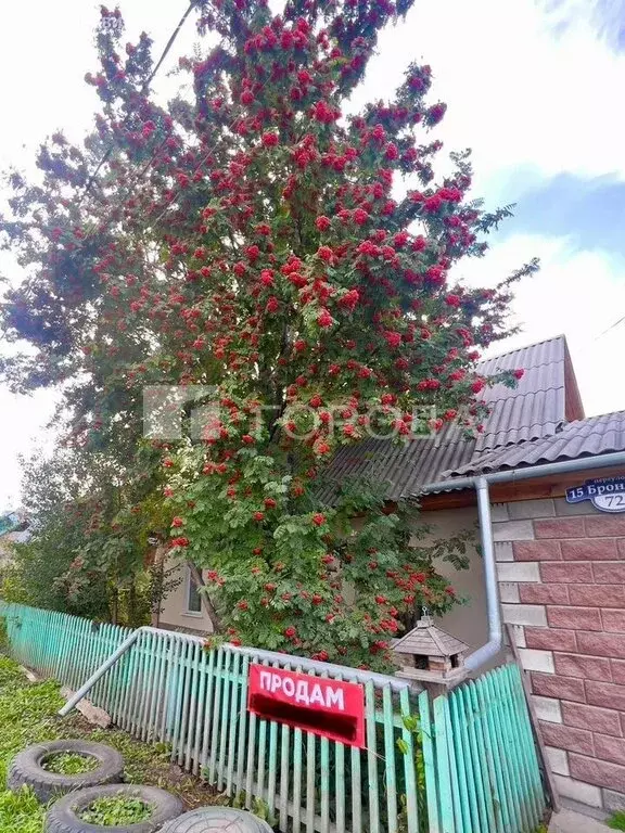 Дом в Новосибирск, 15-й Бронный переулок, 72 (63.4 м) - Фото 0