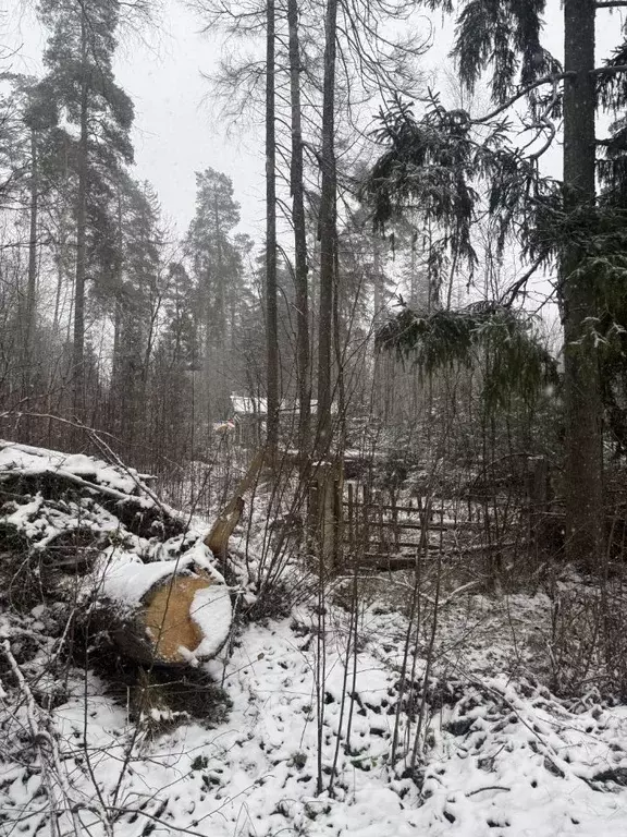 Участок в Ленинградская область, Гатчинский муниципальный округ, ... - Фото 1