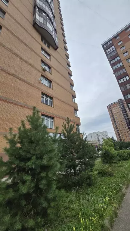 Торговая площадь в Москва ул. Академика Волгина, 8Ак1 (97 м) - Фото 1