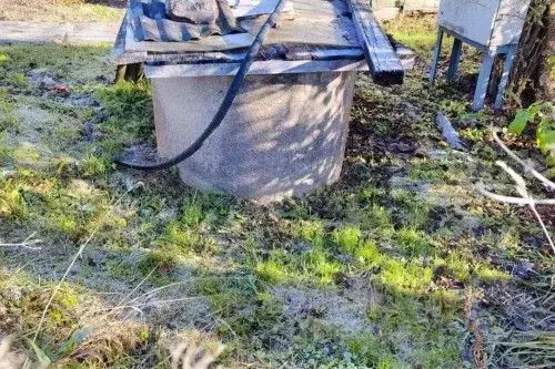 Участок в Новгородская область, Новгородский район, Борковское с/пос, ... - Фото 2