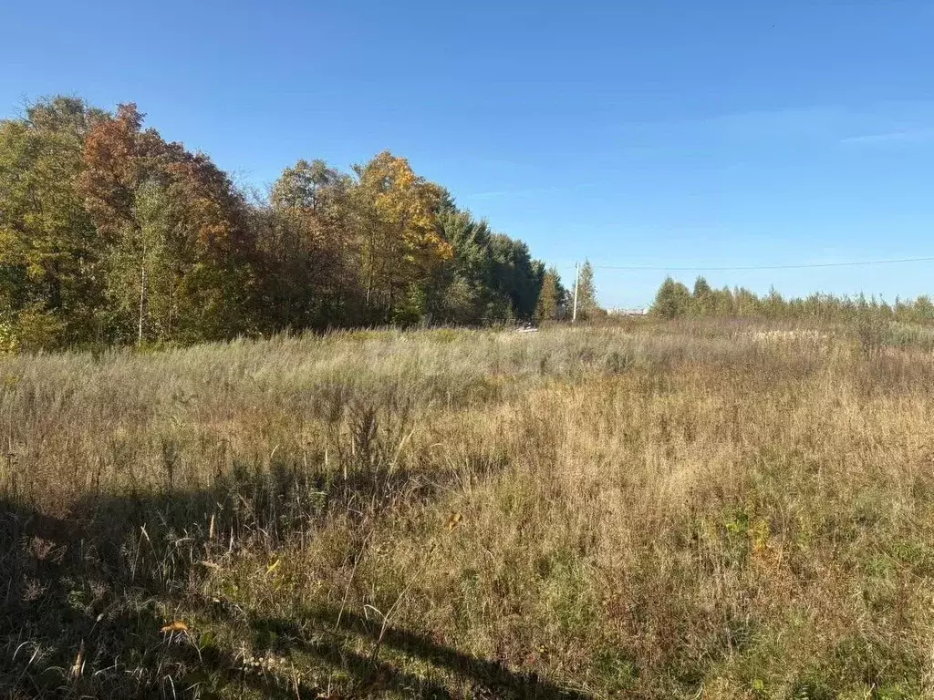 Участок в Хабаровский край, Хабаровск Яблоневая ул. (11.0 сот.) - Фото 2