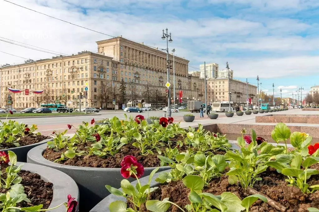 Помещение свободного назначения в Санкт-Петербург Московский просп., ... - Фото 1