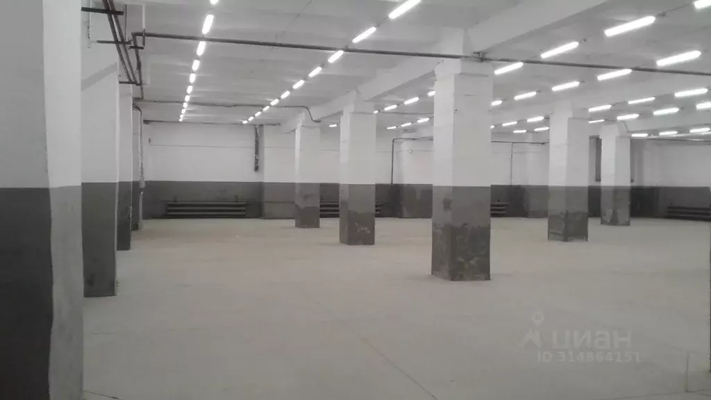 Склад в Новосибирская область, Новосибирск ул. Декабристов, 247к3 (665 ... - Фото 0