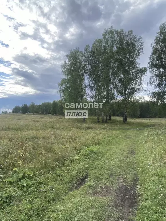 Участок в Миасский городской округ, посёлок Верхний Атлян, Школьная ... - Фото 2