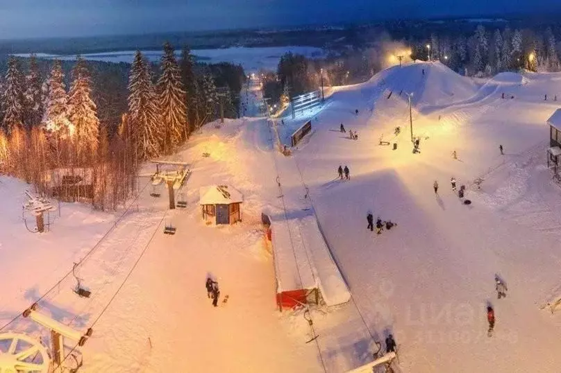 Дом в Ленинградская область, Выборгский район, Рощинское городское ... - Фото 0