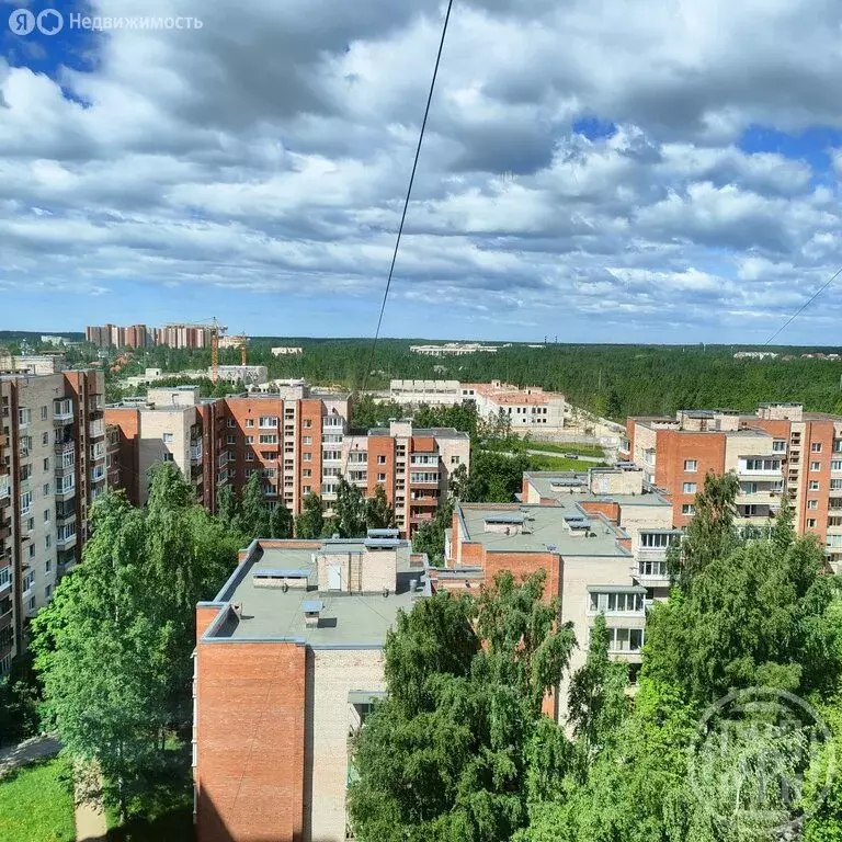 2-комнатная квартира: Петергоф, Ботаническая улица, 3к4 (55.3 м) - Фото 2
