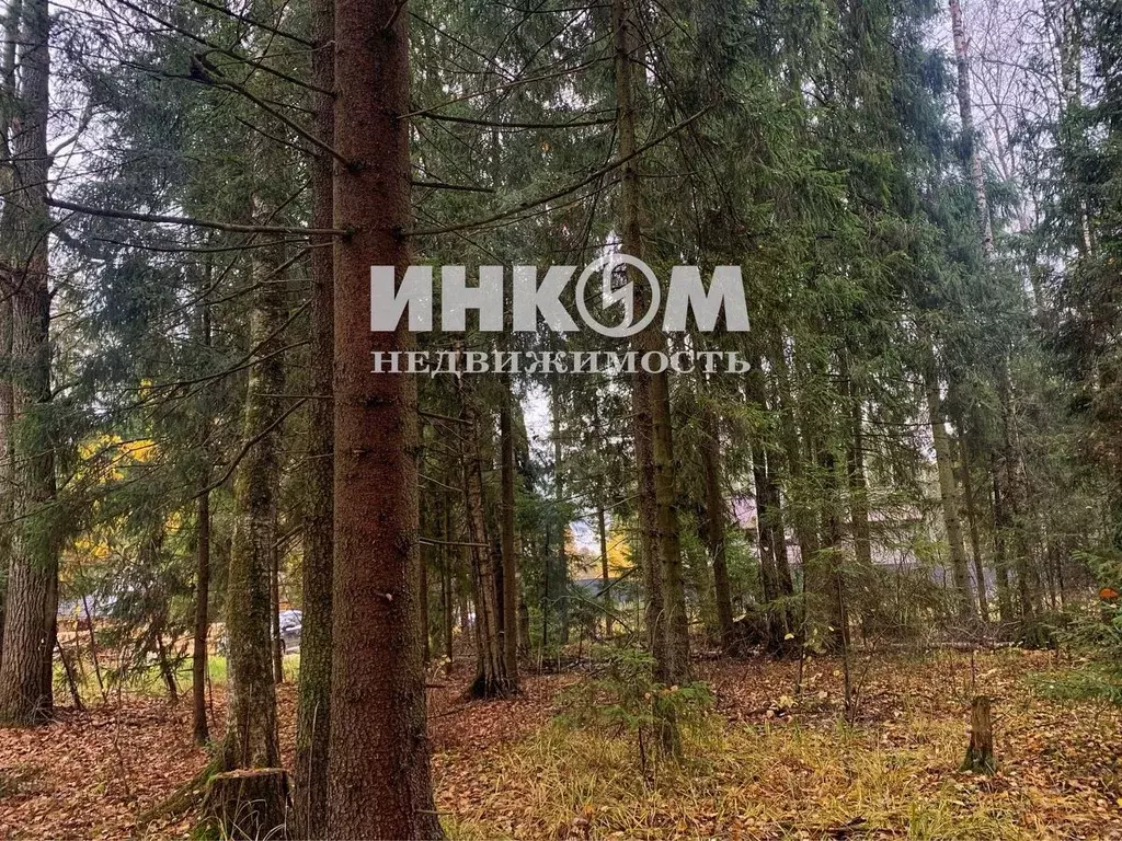 Участок в Московская область, Пушкинский городской округ, д. Могильцы, ... - Фото 1