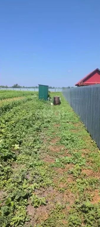 Участок в Башкортостан, Гафурийский район, Мраковский сельсовет, д. ... - Фото 2