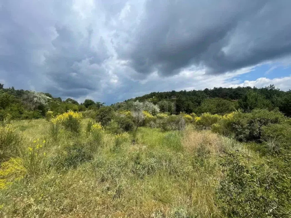 Участок в Крым, Симферополь ул. Раснецова (10.0 сот.) - Фото 1