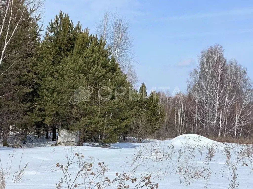 Участок в Тюменская область, Тюменский район, с. Кулига, Кулига-2 мкр  ... - Фото 1