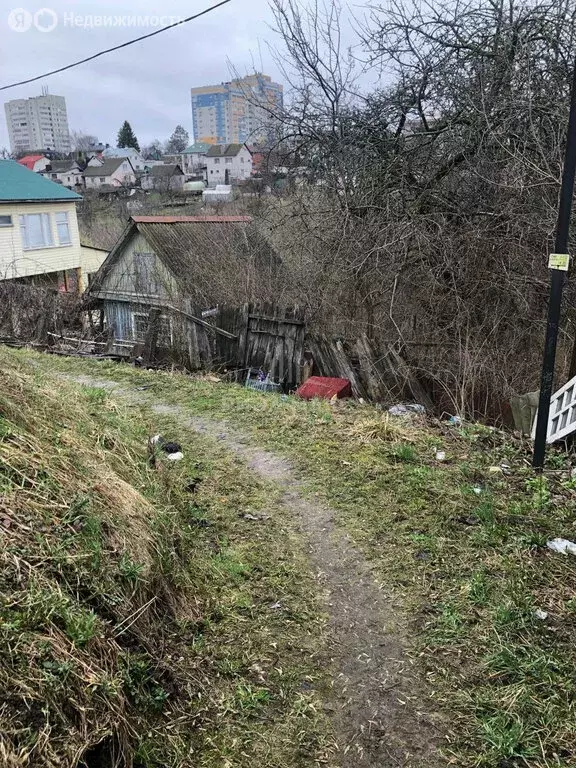 Дом в Брянск, садоводческое объединение Добрая Надежда (550 м) - Фото 2